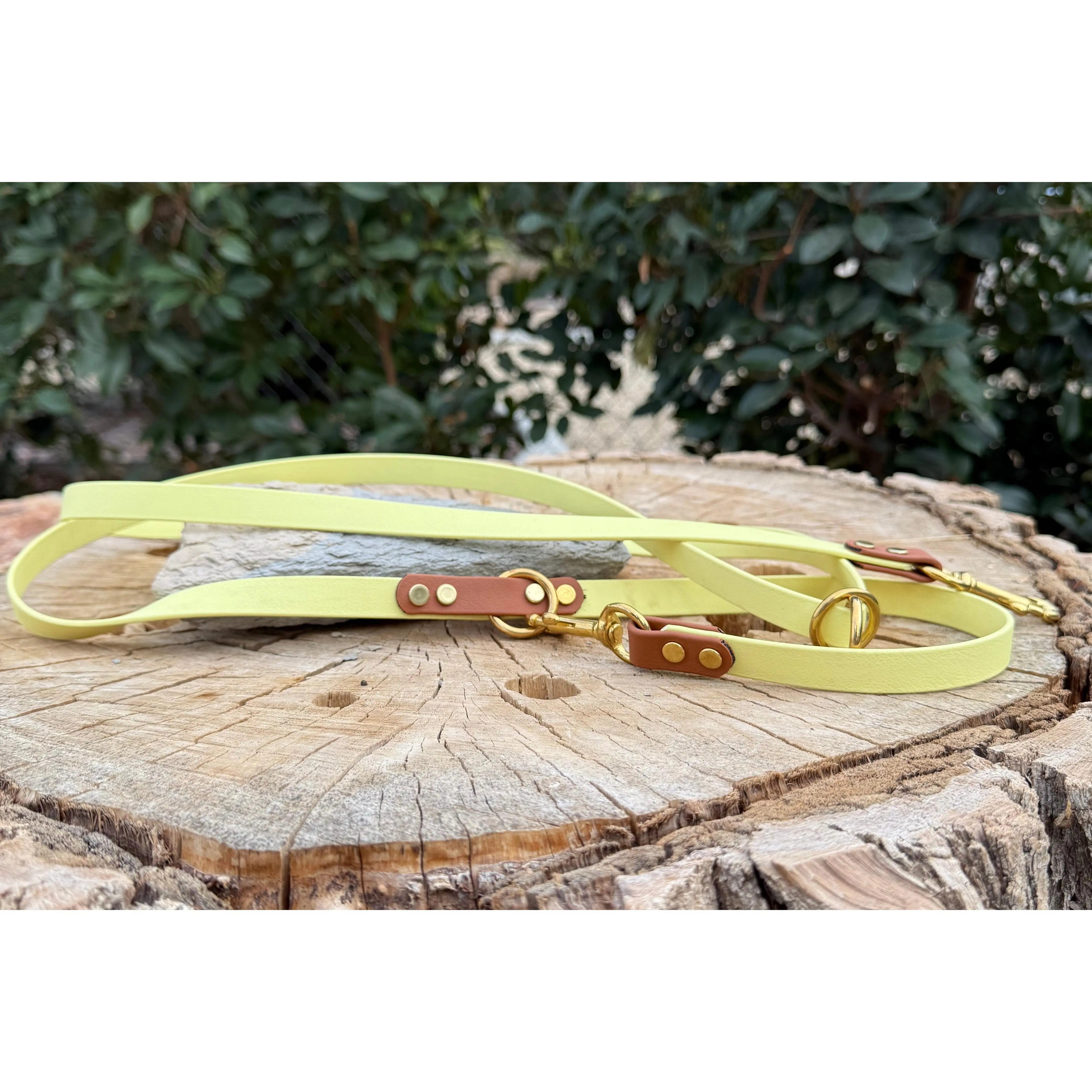 5/8" Biothane® Hands-Free Dog Leash | 4-in-1 Adjustable