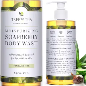 Tree to Tub Soapberry Body Wash - Gentle & Moisturizing Fragrance-Free Body Wash Soap Alternative Body Cleanser with Shea Butter & Natural Aloe