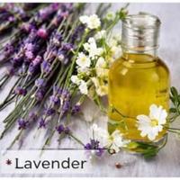 Lavender- Body Oil