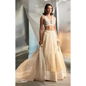 Offwhite tissue stripe lehenga set