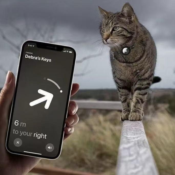 Airtag Anti-Loss Cat Dog Collar with Bell Reflective Kitten Collar with Apple AirTag Holder and Cat Bell 0.4-inch width lightweight design Secure buckle fits both male and female cats Pet accessory gift (Black) gps