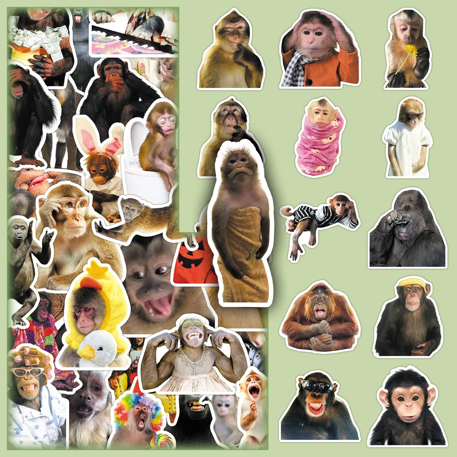 50-Piece Crazy Monkey Funny Stickers Pack - Creative, Cute DIY Decals for Scrapbooks, Phone Cases & Luggage Accessories