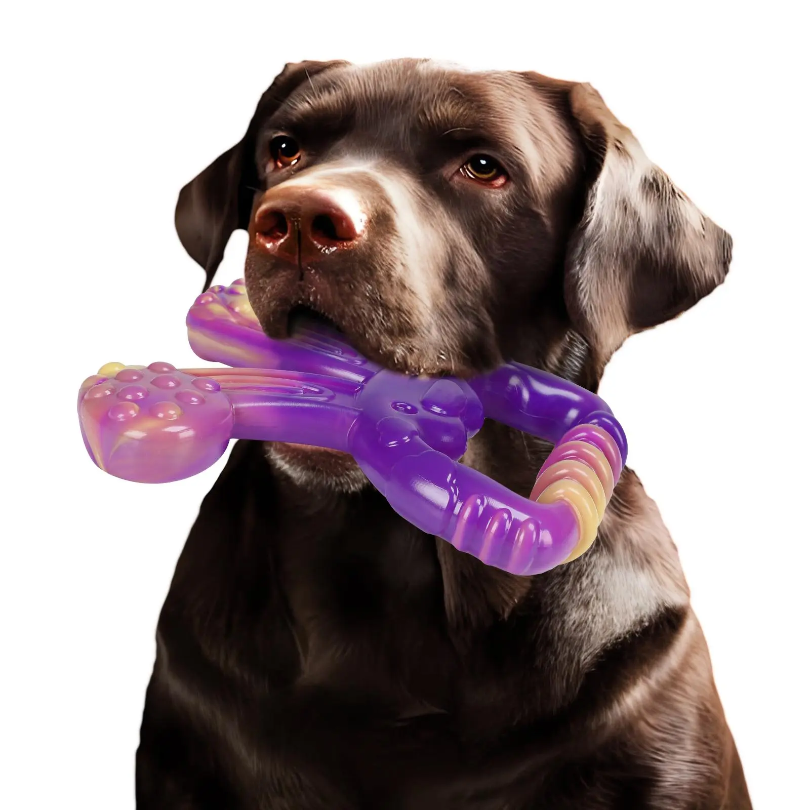 Rabbit Shaped Dog Chew Toy, 1 Count Durable Interactive Tough Chewer Dog Teething Toy, Pet Chew Toy, Dog Teeth Cleaning Toy, Dogs Tooth Grinding Toy, Interactive Dog Toy, Chew Stick, Puppy Teething Sticks