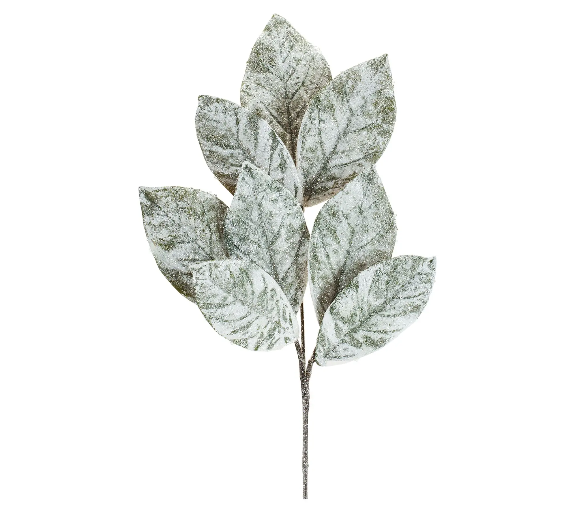 Melrose Frosted Magnolia Leaf Spray (Set of 6)