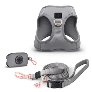 Luxe Dog Walking Set - Steel