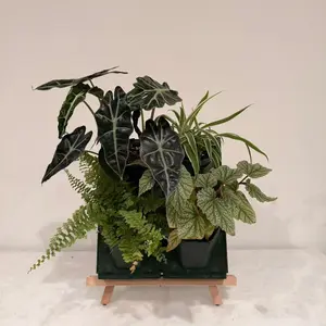 2x2 Plant Stackable Box Stand Set - Green Storage Solution for Organized Home Decor