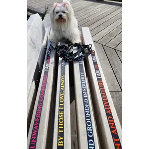 I AM FREE Totem Pride Leash & Collar