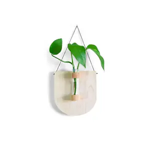Maple Scoop Propagation Station