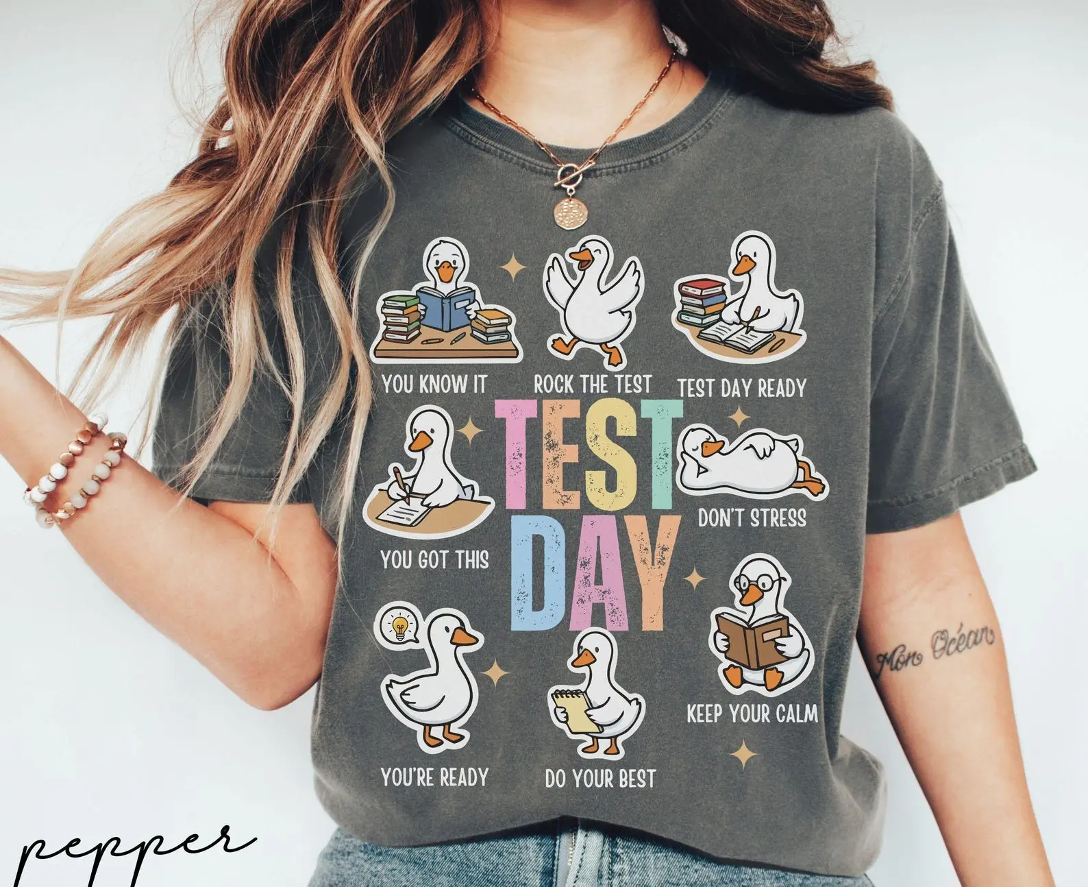 Test Day You Got This Testing Shirt Comfort Colors, Teacher State Testing Tee, Teacher Testing Tshirt, Goose Testing Coordinator Shirt, Test Day Tee