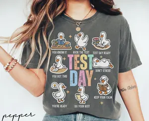 Test Day You Got This Testing Shirt Comfort Colors, Teacher State Testing Tee, Teacher Testing Tshirt, Goose Testing Coordinator Shirt, Test Day Tee