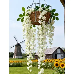 150 PCS Jasmine Seeds Bridal Veil High Germination Rate Nodding Clerodendron Easy to Grow Long Lasting Aroma for Home Garden Fragrant Blooms Rare Cascading Jasmine Perfect for Balconies & Indoor Pots