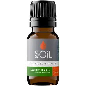 Organic Basil Essential Oil (Ocimum Basilicum) 20ml