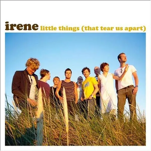 Irene - Little Things That Tear Us Apart  [COMPACT DISC - CD]