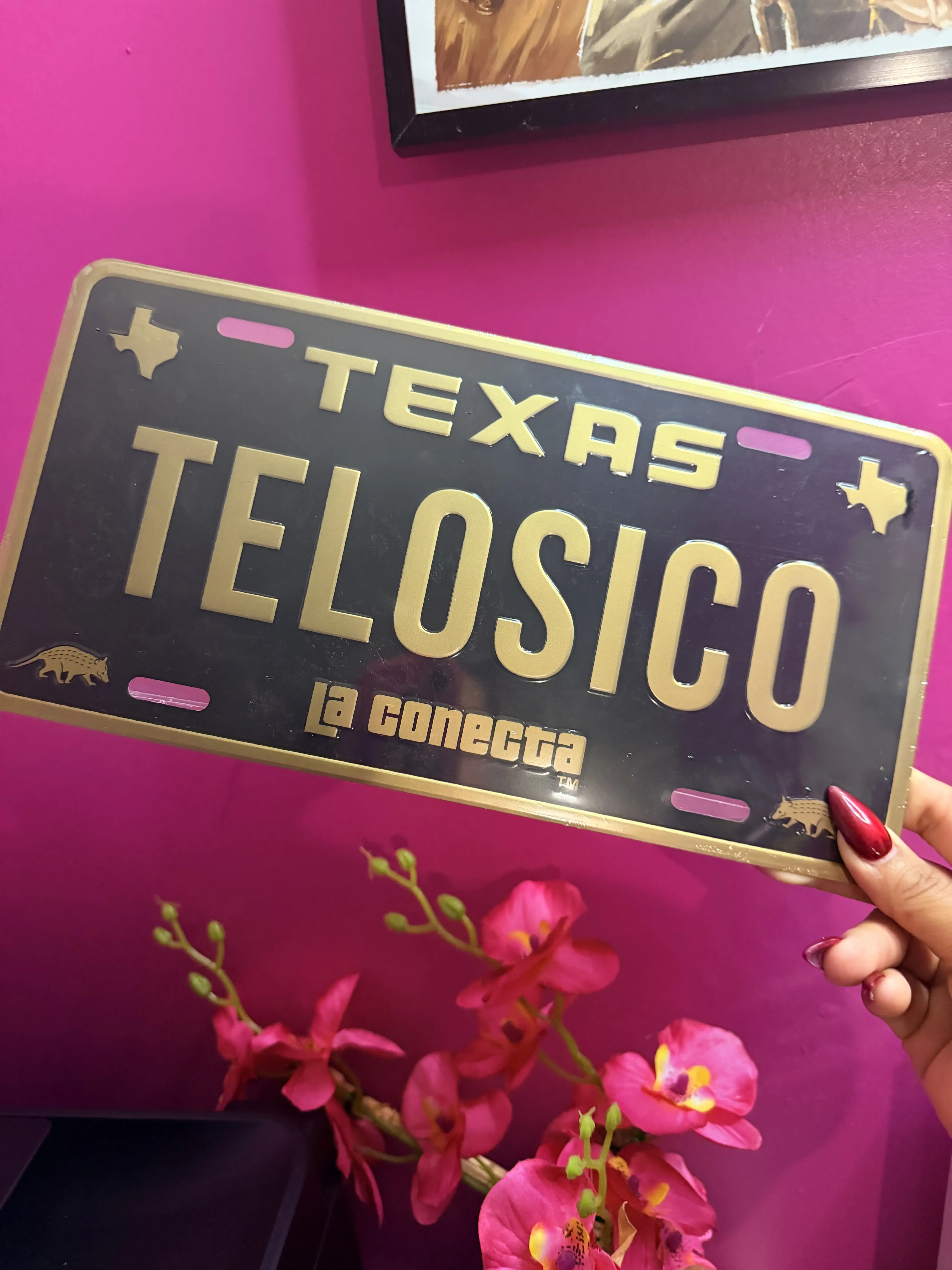 Telosico novelty  plate