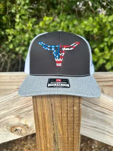 Patriotic Longhorn