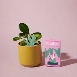 PlantDoc Monstera Moisture Meter - 100% Biodegradable Color-Changing Soil Moisture Indicator for Houseplants, Designed in Portland, Oregon