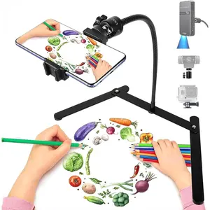 Gooseneck Phone Holder, Adjustable Overhead Phone Mount for Desk, Phone Stand for Recording Live Streaming, Mini Projector Stand Alternative, Overhead Tripod for Phone for Cooking Drawing Teaching