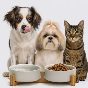 Double Elevated Pet Bowl – Stylish & Practical