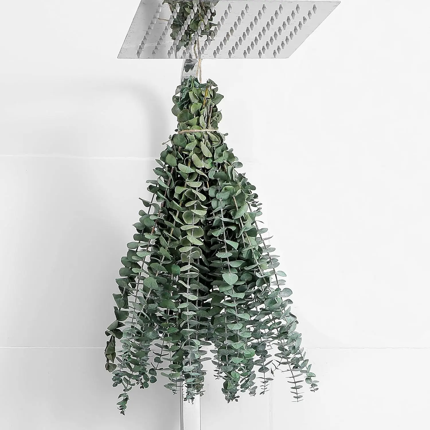10 Pcs Dried Eucalyptus Stems 17" Real Eucalyptus for Shower Hanging