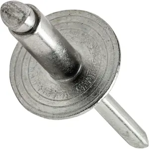 Large Flange Pop Rivets - 1/8" x 1/4" (50 Pack) Heavy Duty, Stainless Steel Blind Rivets, Open End 4-4 Grip Range .188" - .250",  Resistant, High Tensile & Shear Strength