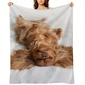 1pc Cavalier King Spaniel Dog Print Flannel Throw Blanket - Soft Cozy 280gsm Lightweight All-Season Bedspread, Couch Sofa Bed Cover With Brown & White Spaniel Puppy Design, Washable Pet Lovers