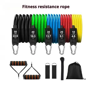 Resistance Band Set with Handles, Stackable Up to 150 Lbs, Full Fitness Kit Includes Exercise Posters, Door Anchors, Ankle Straps