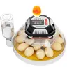 Single Unit Smart Incubator for Chicken, Duck Egg Hatching - Auto Turn, Built-in Day Counter, Candler, Precise Temperature-Humidity Control, Upgraded Digital Display System for Home Backyards (Farm Animal & Poultry Feeding Tool)