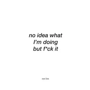 USED-no idea what I'm doing but f*ck it by Lim, Ron (Paperback)