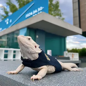 Lizard Leash, Crawling Pet Outdoor Chest Harness, Chameleon Squirrel Leash, Small Pet Supplies, Pet Supplies, Cute Dinosaur Harness