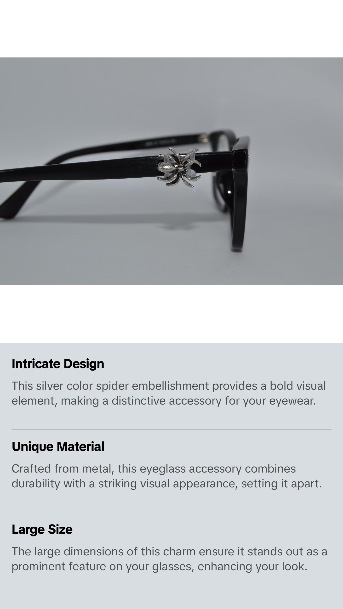 Silver Spider Eyedeco Charm