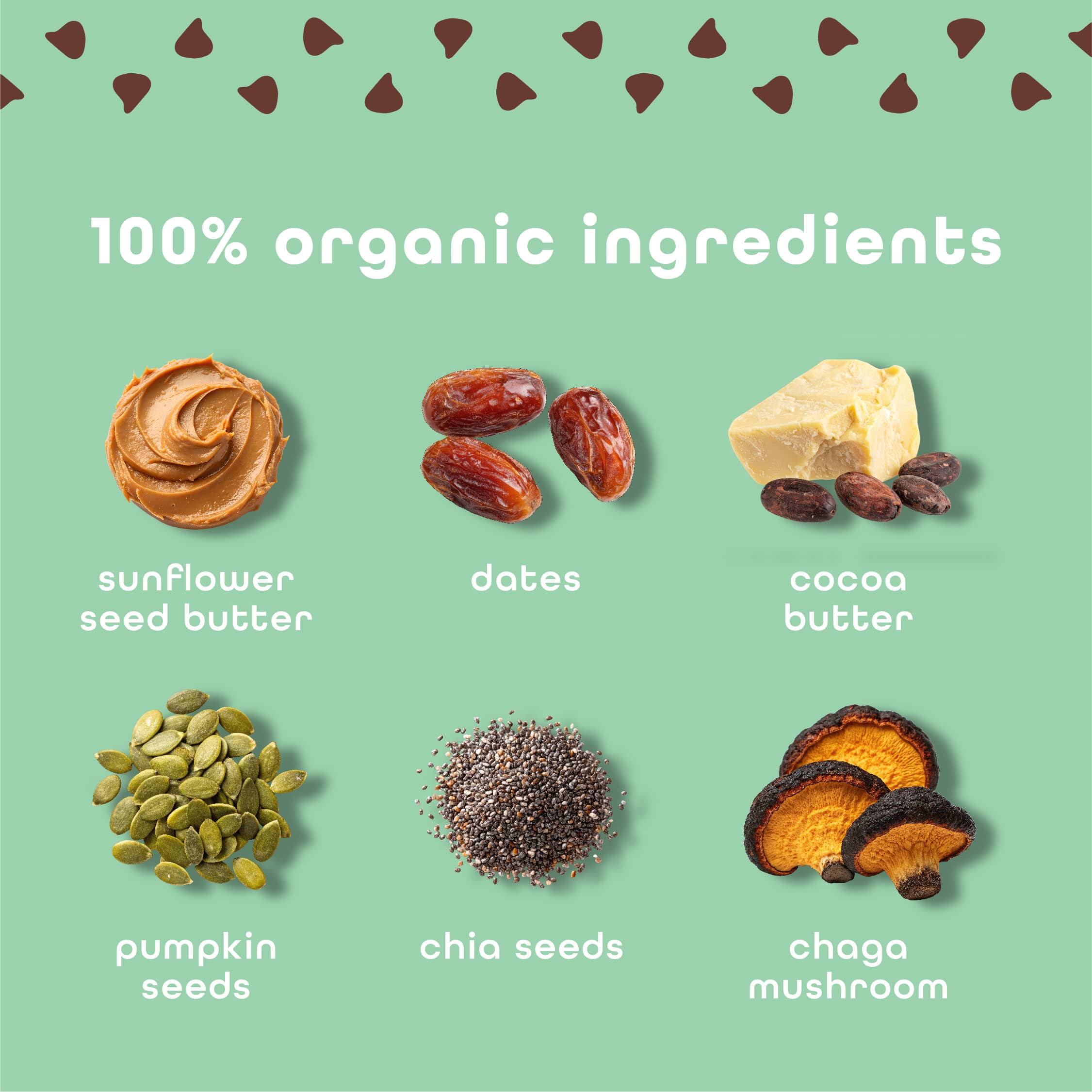 Feel Bars – Vegan Protein Bars | Mint Chocolate Chip – 10 Pack | 15g Plant Protein | Chaga Mushroom | Keto | Organic | Gluten Free, No Nuts, No Soy, No Dairy, No Grains