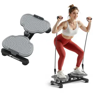 Waist Twist Machine for Toned Abs and Waist Double Non-Slip Quiet Exercise Equipment Abdominal Roller Workout Full Body Fitness