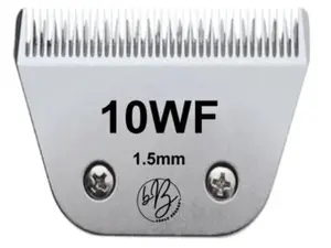 10 Wide Blade