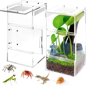 Jumping Spider Enclosure -  Terrarium Habitat for Spiders, Tarantulas, , Mantis, Lizard, and Small Reptiles,  Doors (3x3x6 inch)