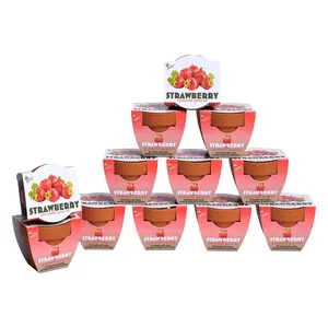 Strawberry Grow Kits | Classic Mini Terracotta Pots (12 Pack)