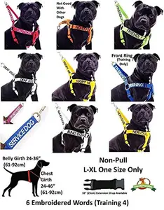 USED-Friendly (Known as Friendly to All) Green Colour Coded Non-Pull Front and Back D Ring Padded and Waterproof Vest Dog Harness Prevents Accidents by Warning Others of Your Dog in Advance (M)