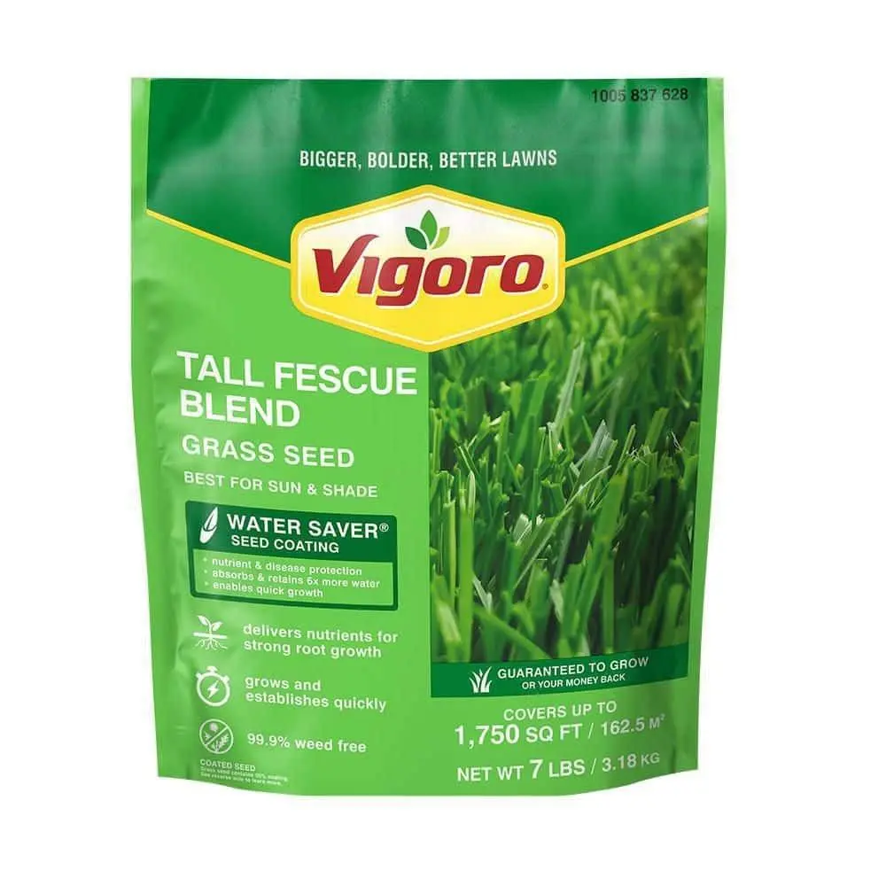 7 lbs. Tall Fescue Grass Seed Blend with Water Saver Seed Coating