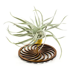 Wire Air Plant Holder 2 - Unique Plant Display Stand // Geometric Spiral Wood Home Decor Table Shelf Desk Plant Lover Gift Idea