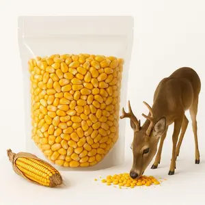 Non GMO Whole Dried Corn Kernels, 10lb Vacuum Sealed Deer Feed Corn for Deer Food