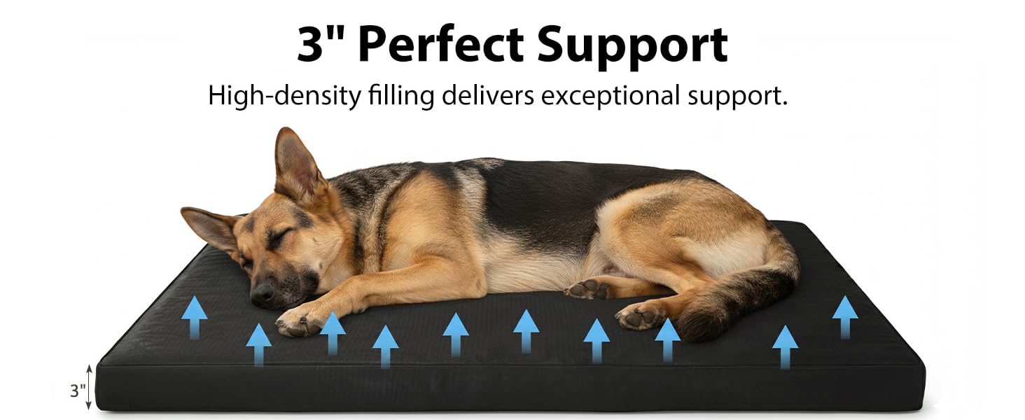 Orthopedic Dog Bed for Large Aggressive Chewers - Parachute Tough Striped Fabric, Chew-Resist. & Scratch-Resistant, 4" Joint Support Foam, Self-Cooling Modern Dog Mattress for Longevity