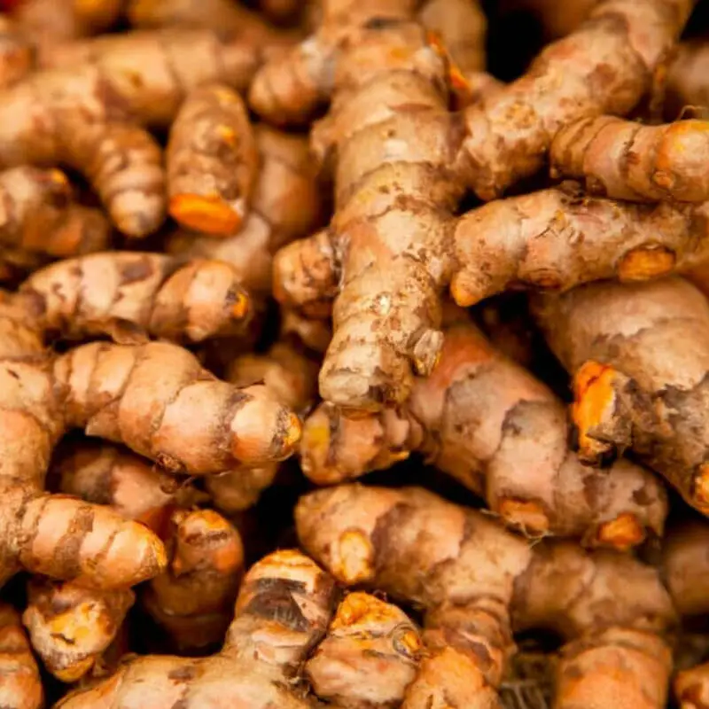 Hoss Turmeric Roots | Organic | USA Grown