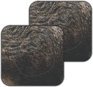 Wild Boar Vital Zones