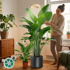 Grow Lights for Indoor  Full ,6.3" LED  Grain  Grow Light, 11.8-63in Height Adjustable  Lights Growing Lamp with Auto Timer 3H/9H/12H,10 Dimmable Levels ( Grain 1 Pack)