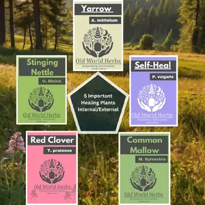5 PACK Meadow Medicine PRINTED ZINE Booklet - Traditional Uses and Plant ID | USA
