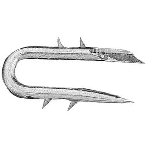 Mazeland  Lock Staple 1.75 in. x 8 Gauge Galvanized - 8 lbs