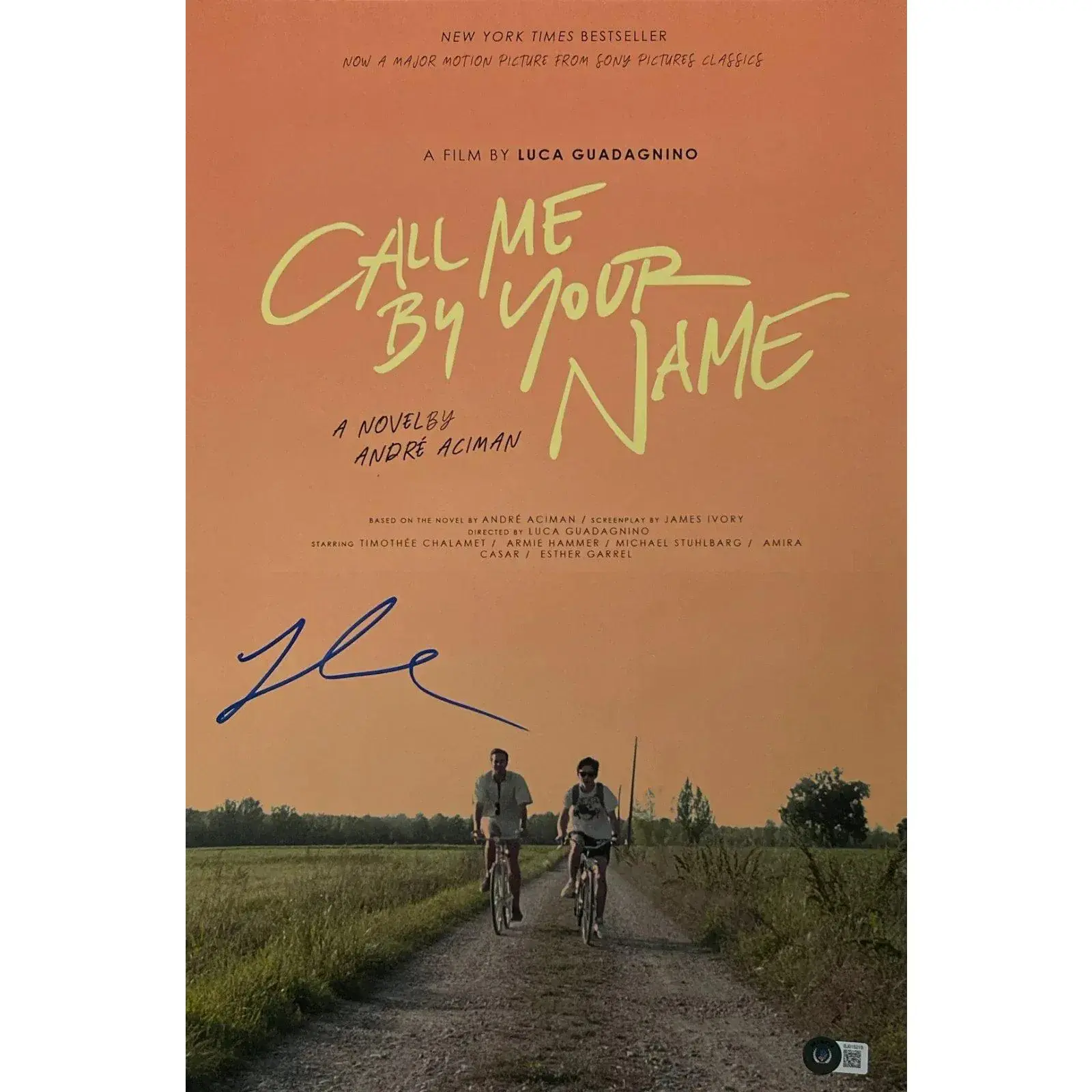 Luca Guadagnino Authentic Autographed 12x18 Photo Poster