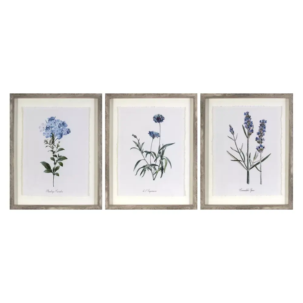 (Set of 3) 16"x20" Framed Vintage Botanicals Decorative Wall Art Natural/Blue - Threshold