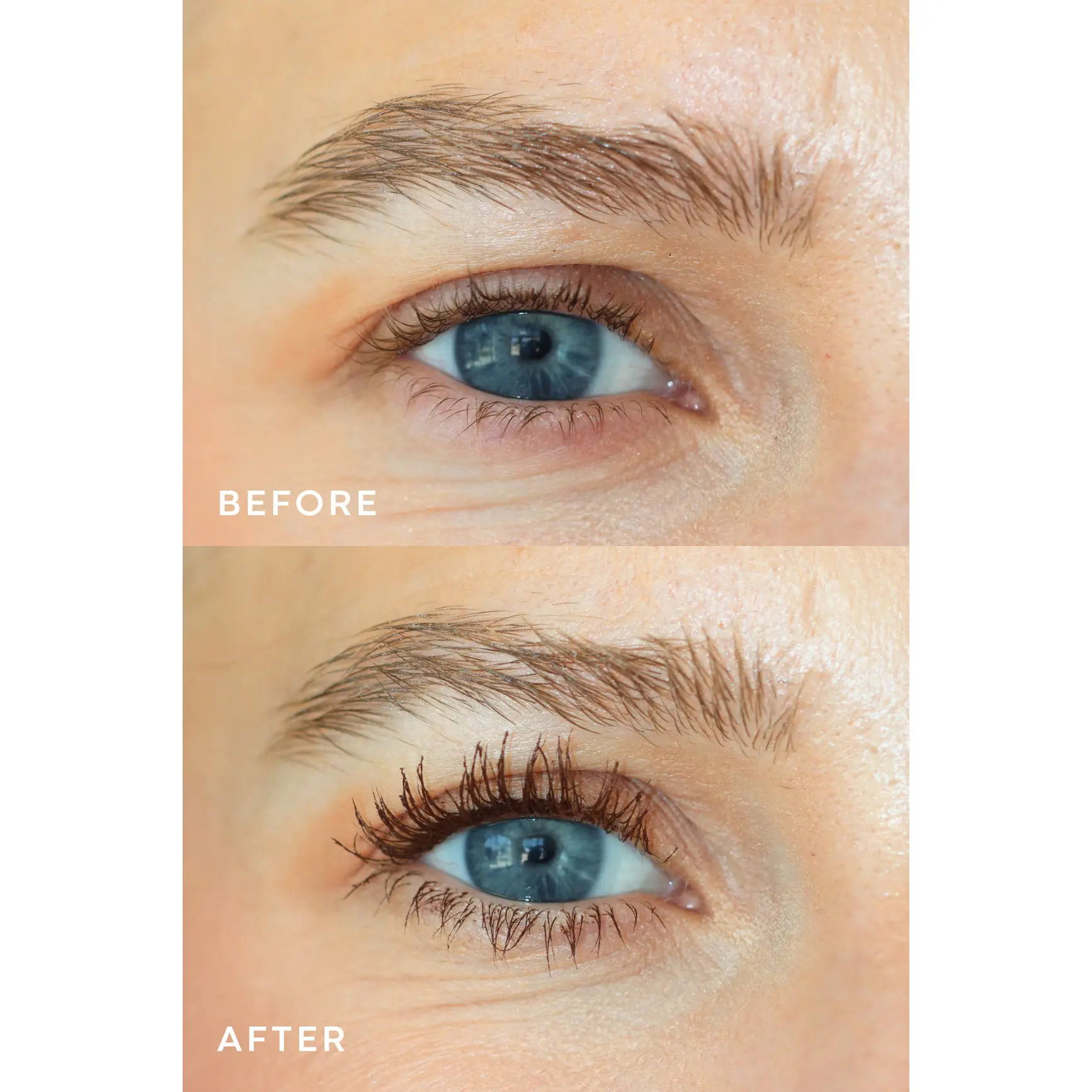 Emergency Lash Kit | Espresso