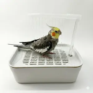 Automatic Parrot Bath Box, Reusable Water Circulation, Fits Two Small Parrots at Once, Suitable for Quaker Parakeets