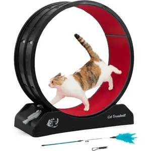 Cat Exercise Wheel Cat Treadmill with Locking Mechanism Carpeted Runway Large Wheel